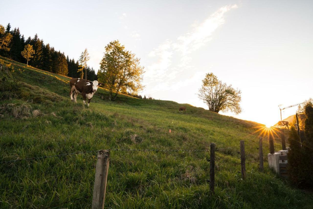 Holiday home Steinberghaus